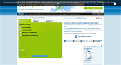Desktop Screenshot of cciexpert.net